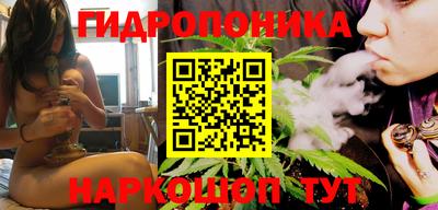 сатива Краснодар