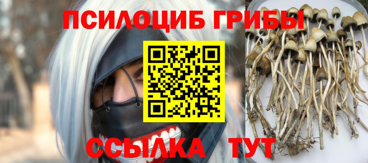 Псилоцибиновые грибы Cubensis  Вход с VPN  Галлюциногенные грибы ЛСД  Ирбит 